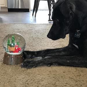 Meet your Posher, Karen